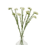 Cream Statice Spray – alternate view 3