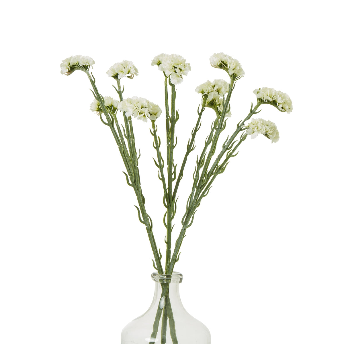 Cream Statice Spray – alternate view 3