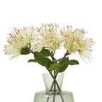 Cream Protea Nitida Stem – alternate view 3