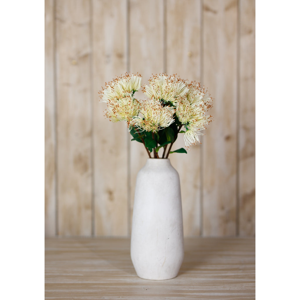 Cream Protea Nitida Stem – alternate view 4