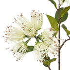 Cream Protea Nitida Spray – alternate view 2