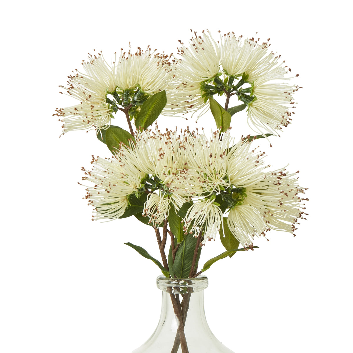 Cream Protea Nitida Spray – alternate view 3