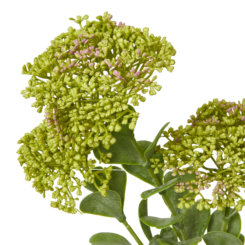 Green Sedum Spray – alternate view 2