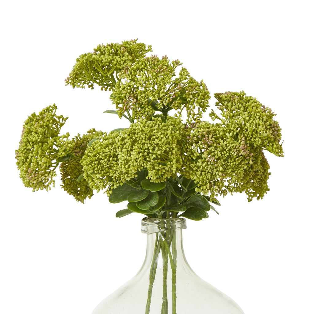Green Sedum Spray – alternate view 3