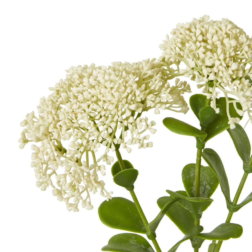Cream Sedum Spray – alternate view 2