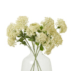 Cream Sedum Spray – alternate view 3