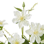 Cream Pearl Clematis Spray – alternate view 2