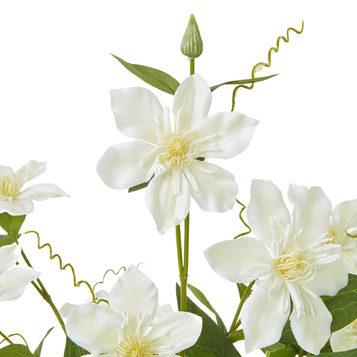 Cream Pearl Clematis Spray – alternate view 2