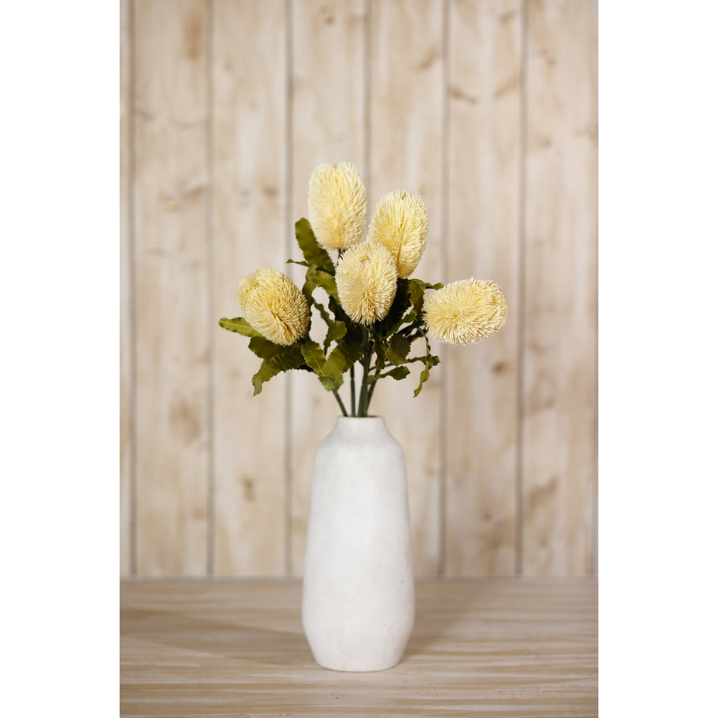 Large Cream Banksia Serrata Stem – alternate view 4