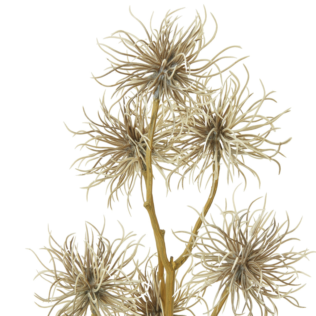 Brown Xanthium Spray – alternate view 2
