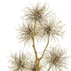 Brown Xanthium Spray – alternate view 2