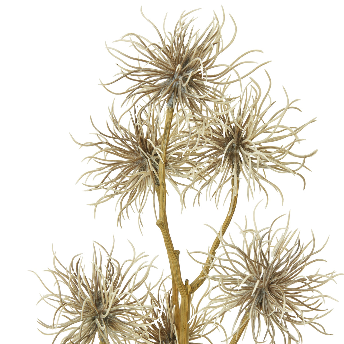 Brown Xanthium Spray – alternate view 2