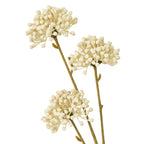 Cream Allium Spray – alternate view 2