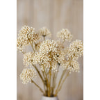 Cream Allium Spray – alternate view 5