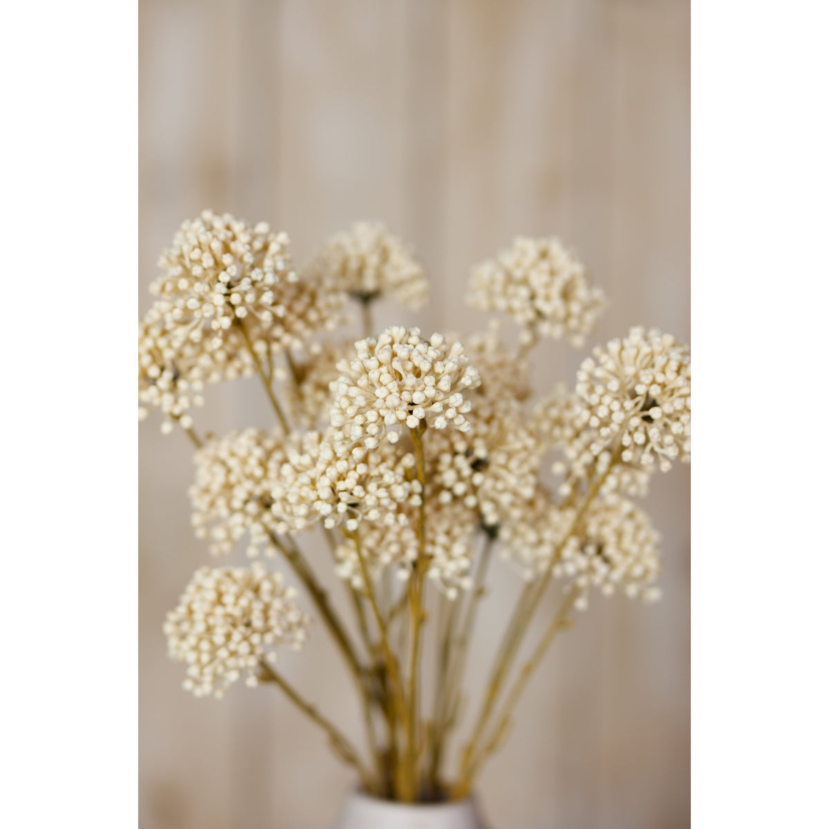 Cream Allium Spray – alternate view 5