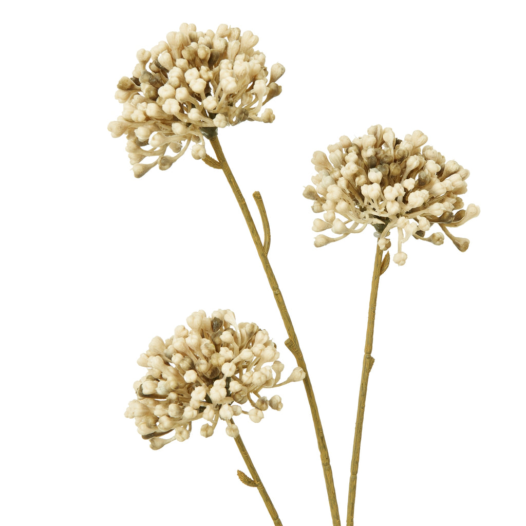 Brown Allium Spray – alternate view 2