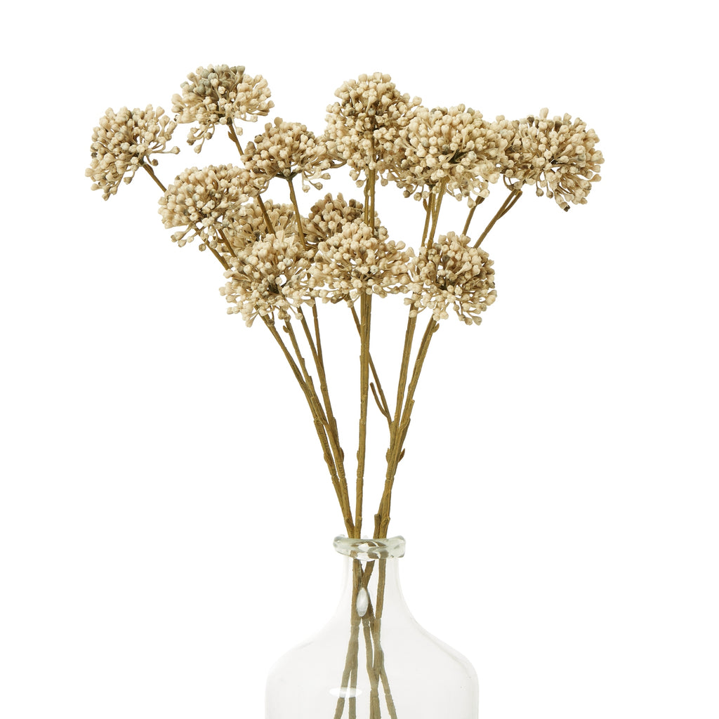 Brown Allium Spray – alternate view 3