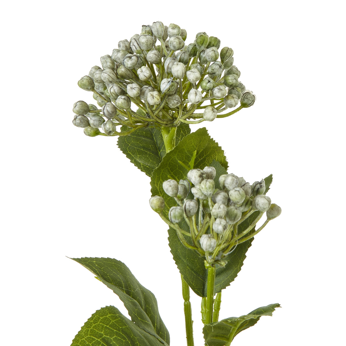 Blue Budding Hydrangea Spray – alternate view 2