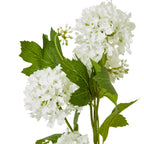 Cream Snowball Viburnum Spray – alternate view 2