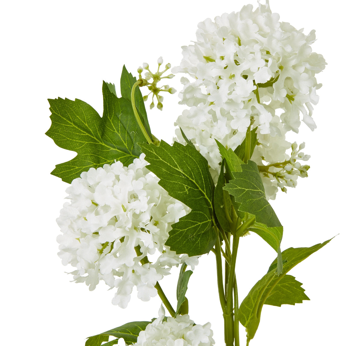 Cream Snowball Viburnum Spray – alternate view 2