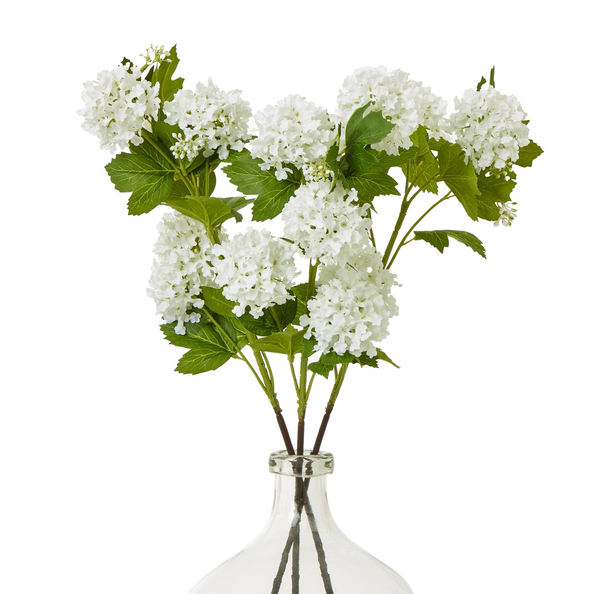 Cream Snowball Viburnum Spray – alternate view 3