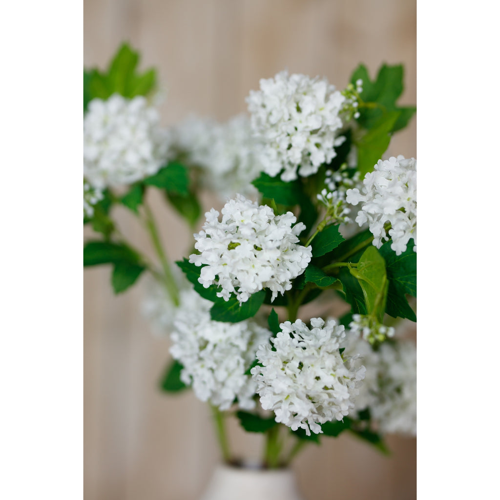 Cream Snowball Viburnum Spray – alternate view 5