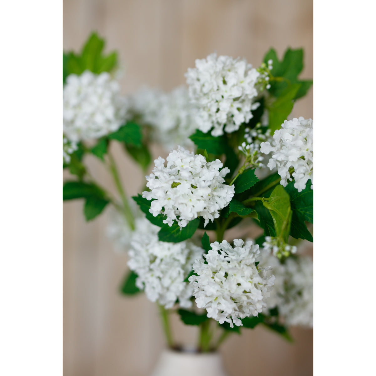 Cream Snowball Viburnum Spray – alternate view 5