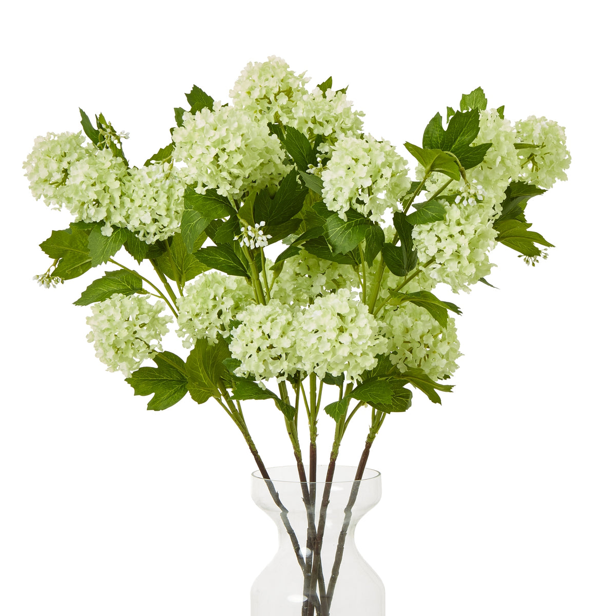 Green Snowball Viburnum Spray – alternate view 3