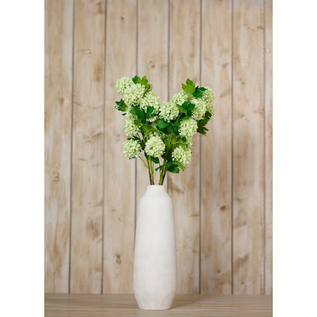 Green Snowball Viburnum Spray – alternate view 4