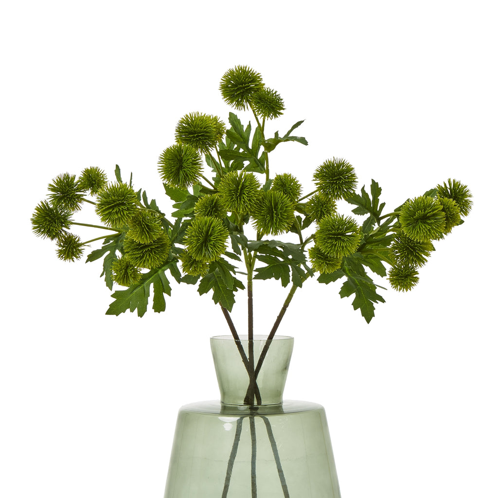 Green Globe Thistle Spray – alternate view 3