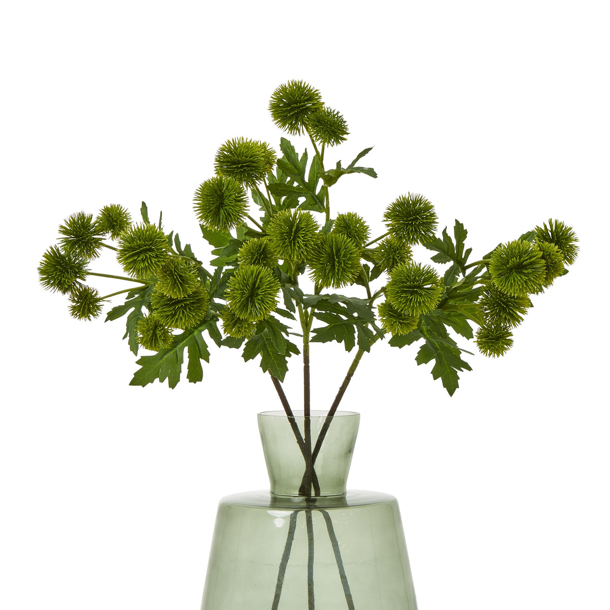 Green Globe Thistle Spray – alternate view 3