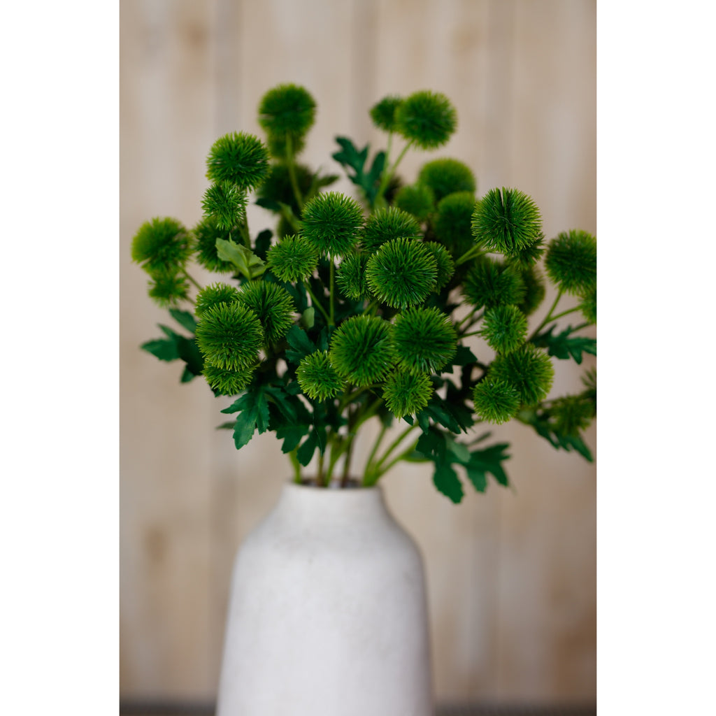 Green Globe Thistle Spray – alternate view 5