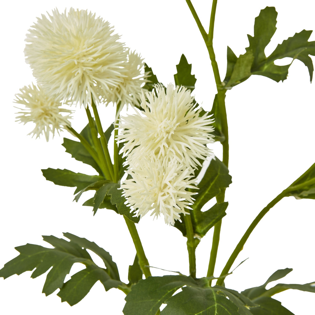 Cream Globe Thistle Spray – alternate view 2