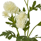 Cream Globe Thistle Spray – alternate view 2
