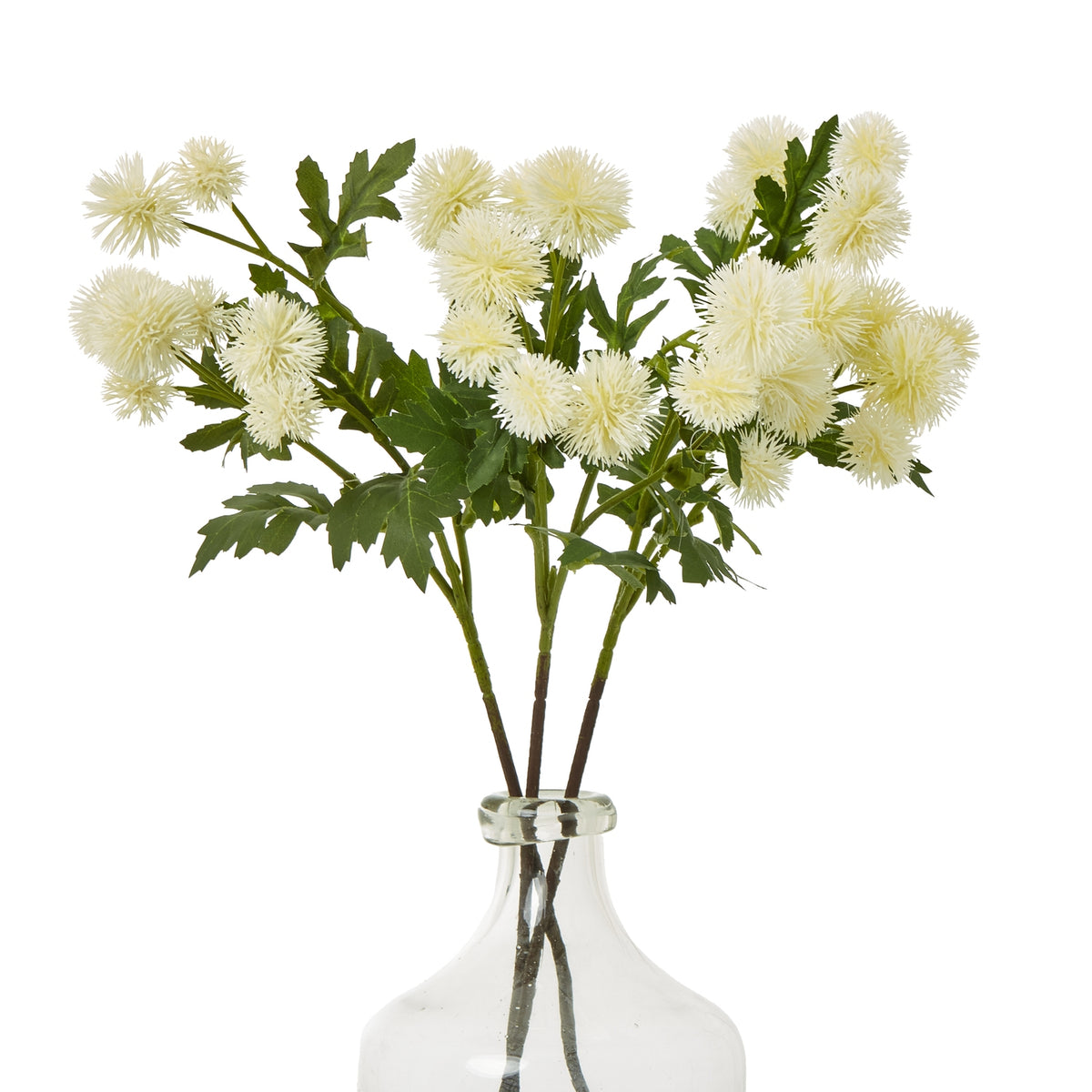 Cream Globe Thistle Spray – alternate view 3