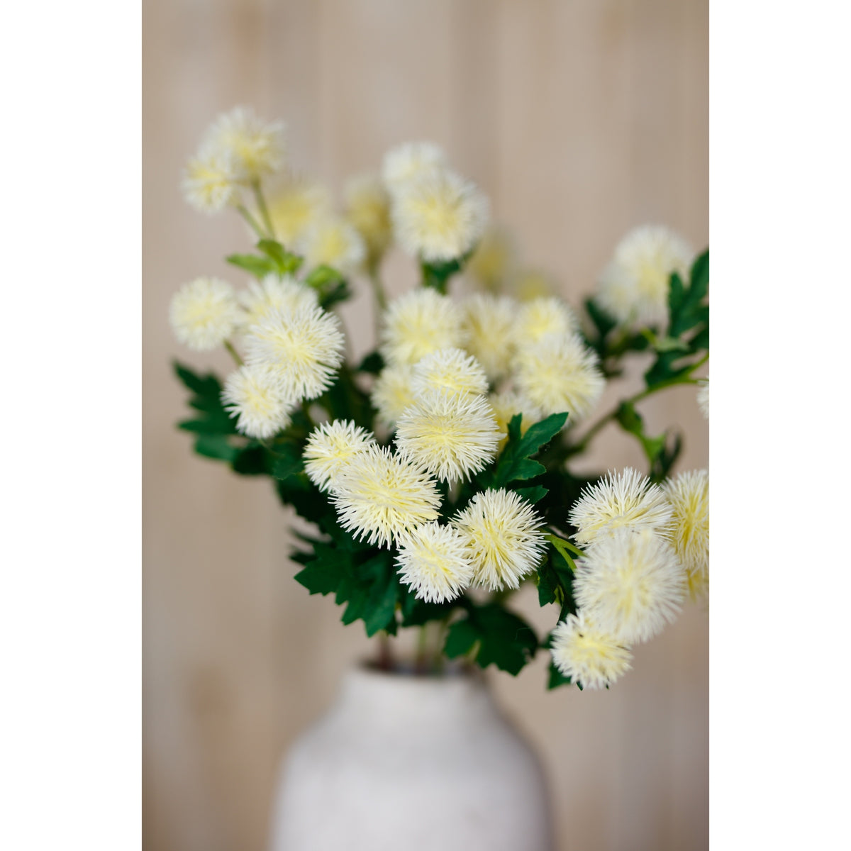 Cream Globe Thistle Spray – alternate view 5