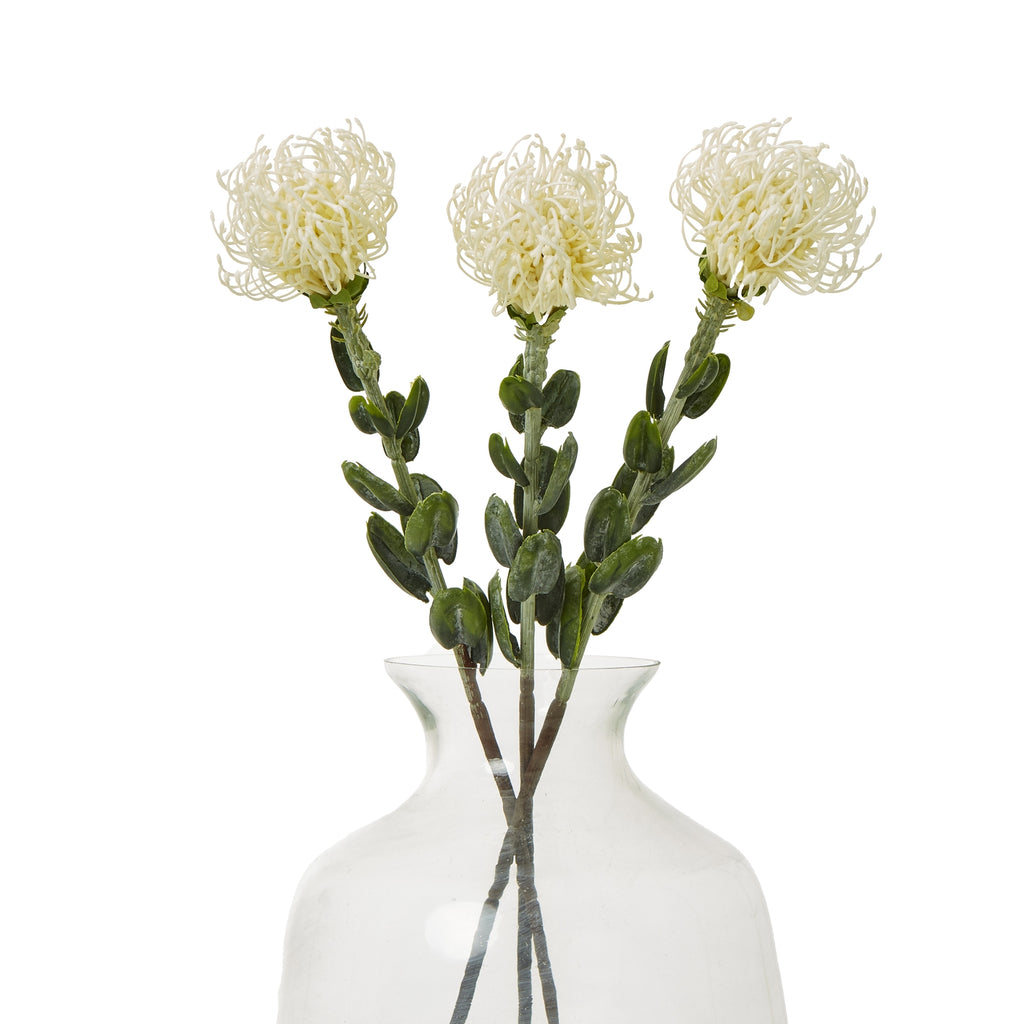 Cream Pincushion Protea Spray – alternate view 3