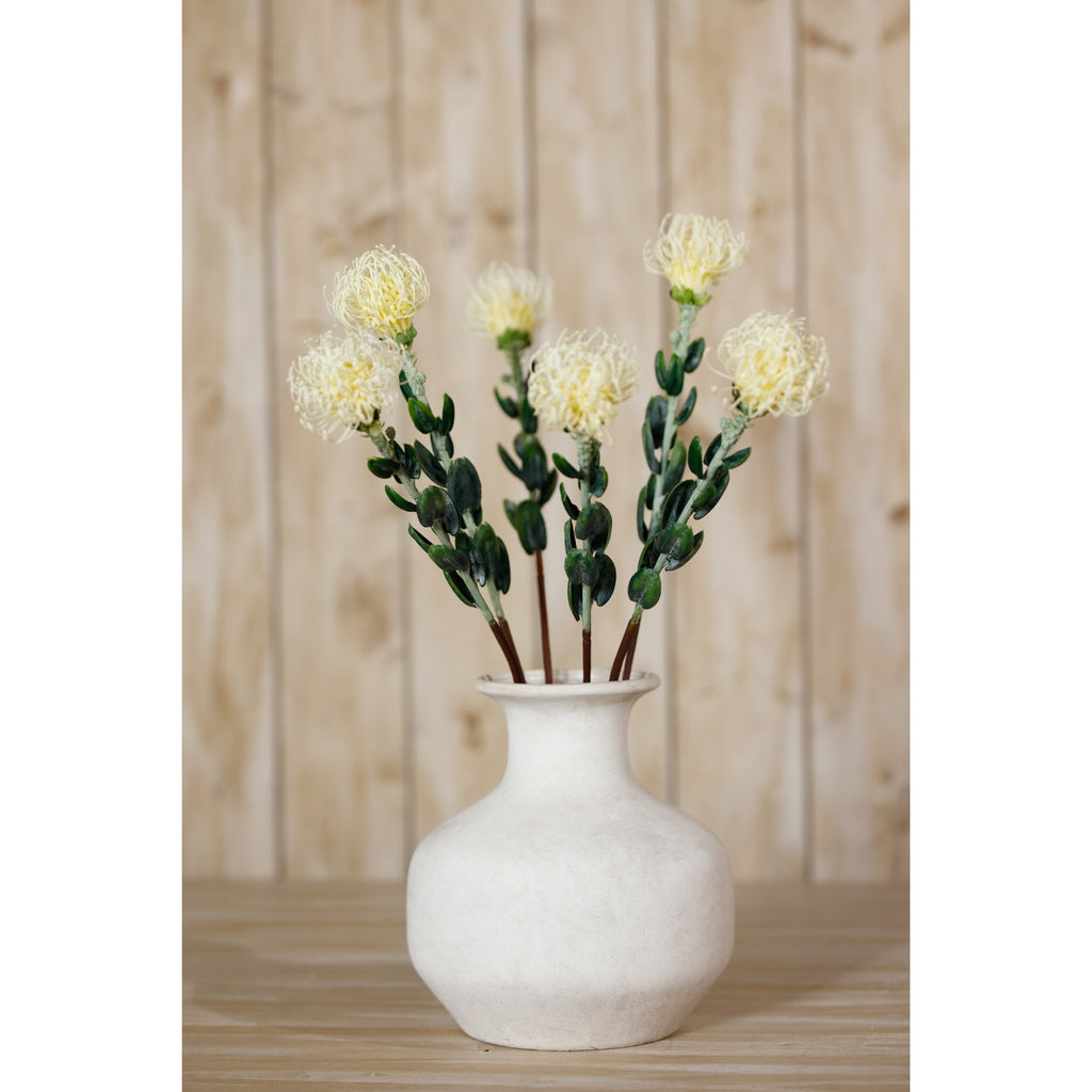 Cream Pincushion Protea Spray – alternate view 4
