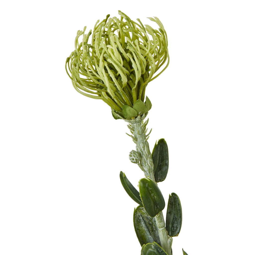 Green Pincushion Protea Spray – alternate view 2