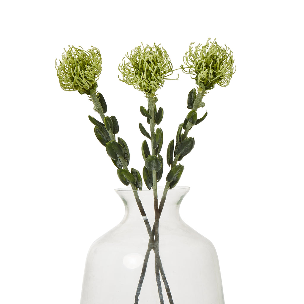 Green Pincushion Protea Spray – alternate view 3