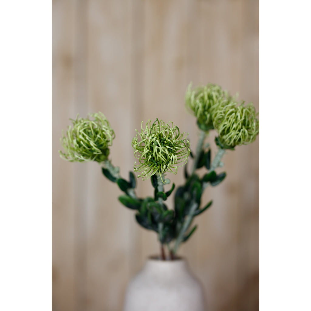 Green Pincushion Protea Spray – alternate view 5