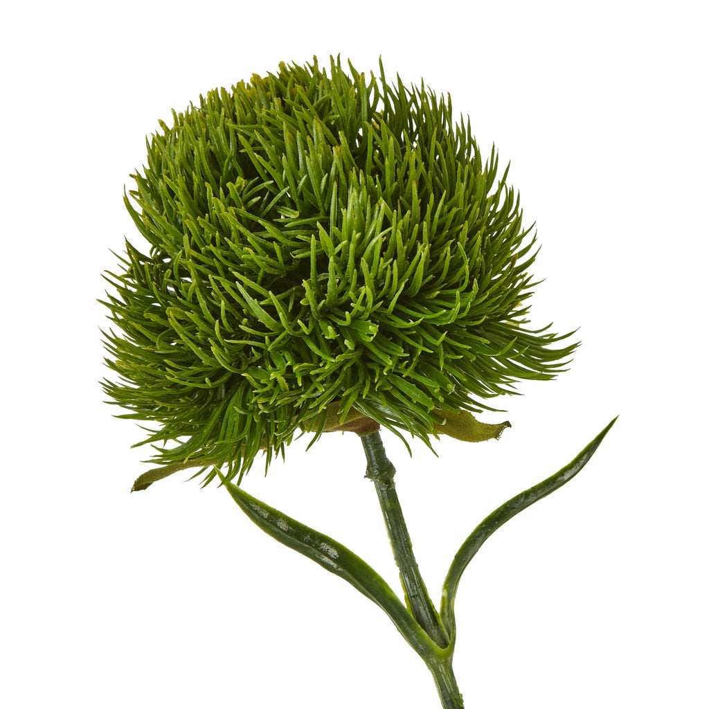 Dark Green Dianthus Stem – alternate view 2