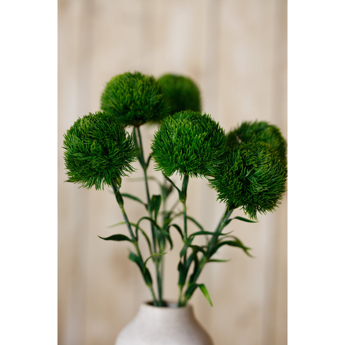 Dark Green Dianthus Stem – alternate view 5