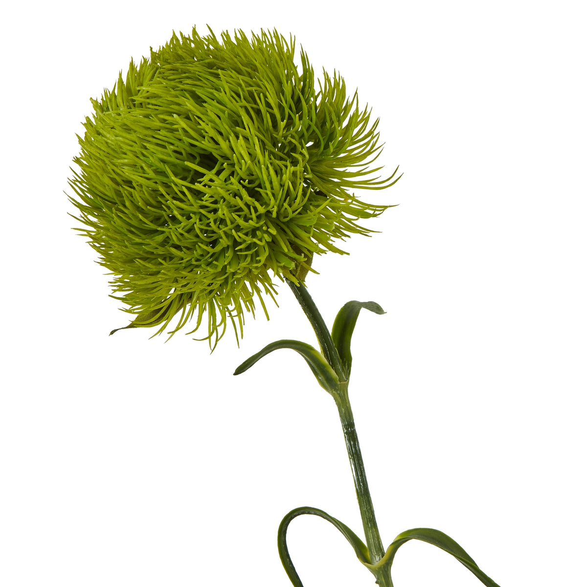 Light Green Dianthus Stem – alternate view 2