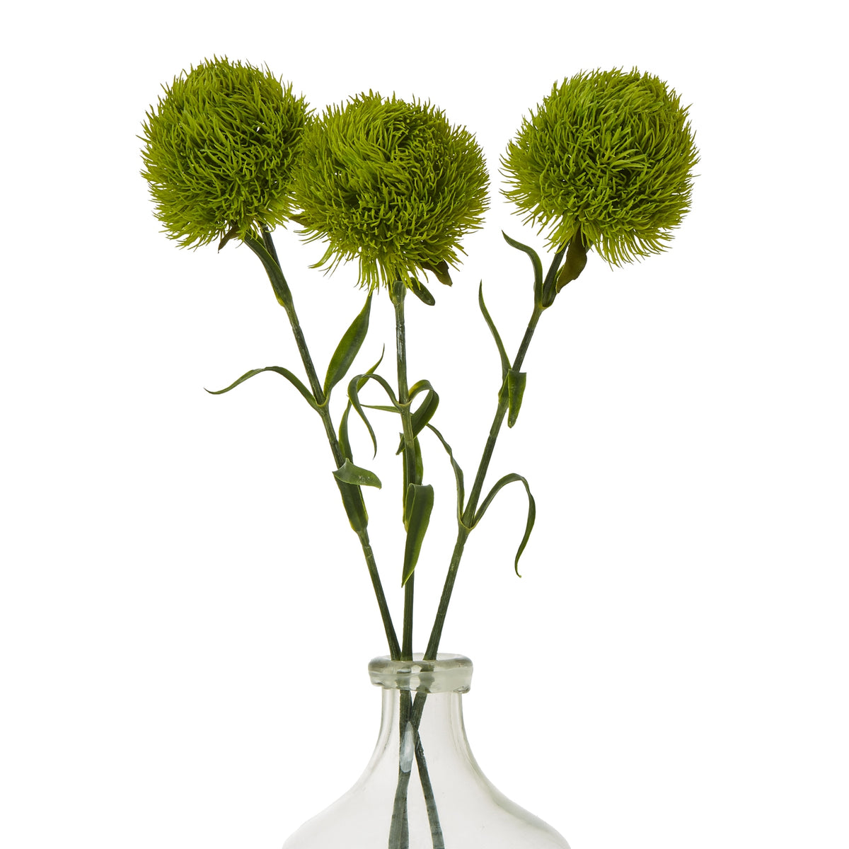Light Green Dianthus Stem – alternate view 3
