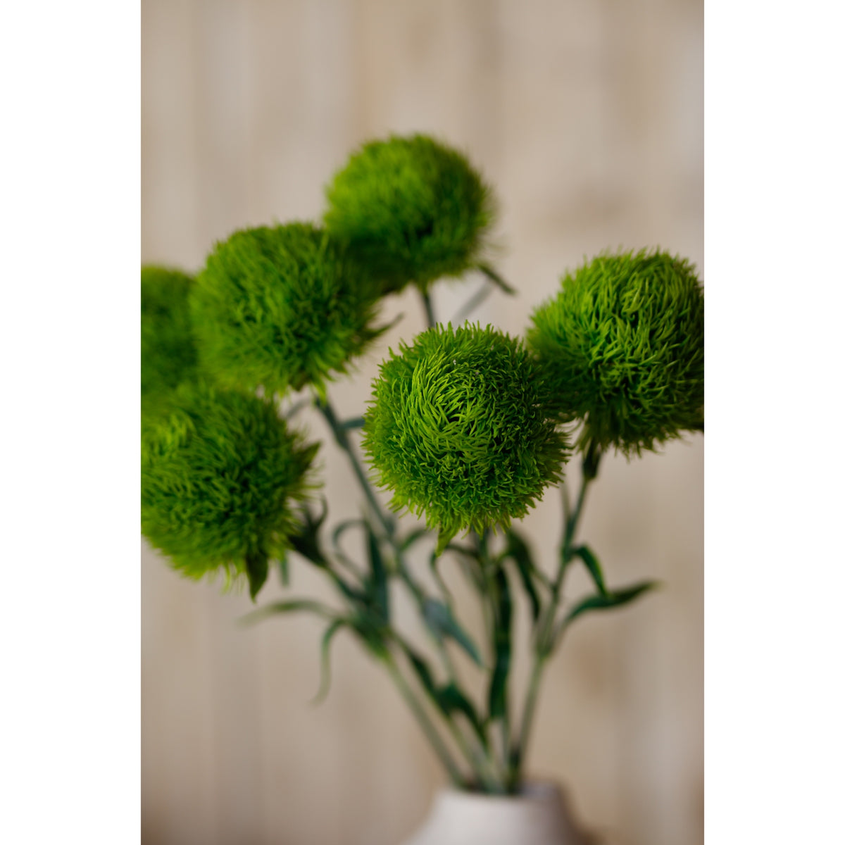 Light Green Dianthus Stem – alternate view 5