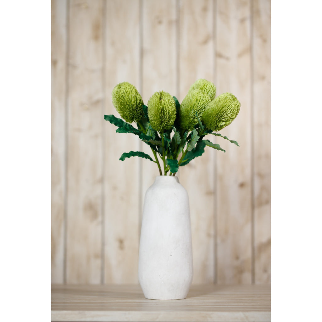 Large Green Banksia Serrata Stem – alternate view 4