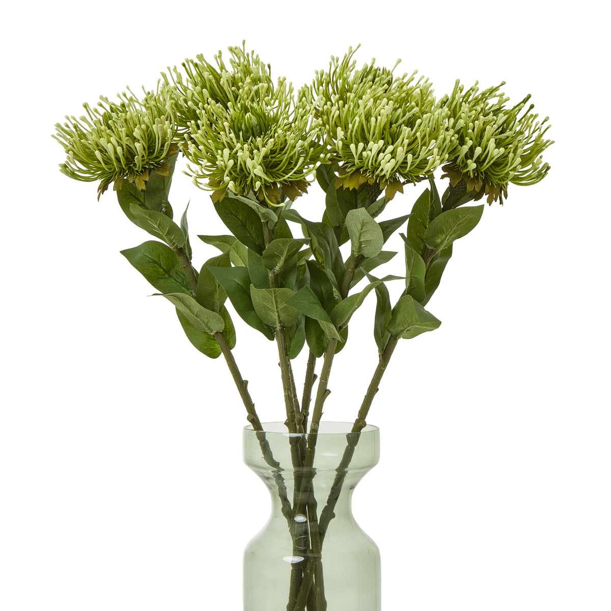 Green Protea Lorea Stem – alternate view 3