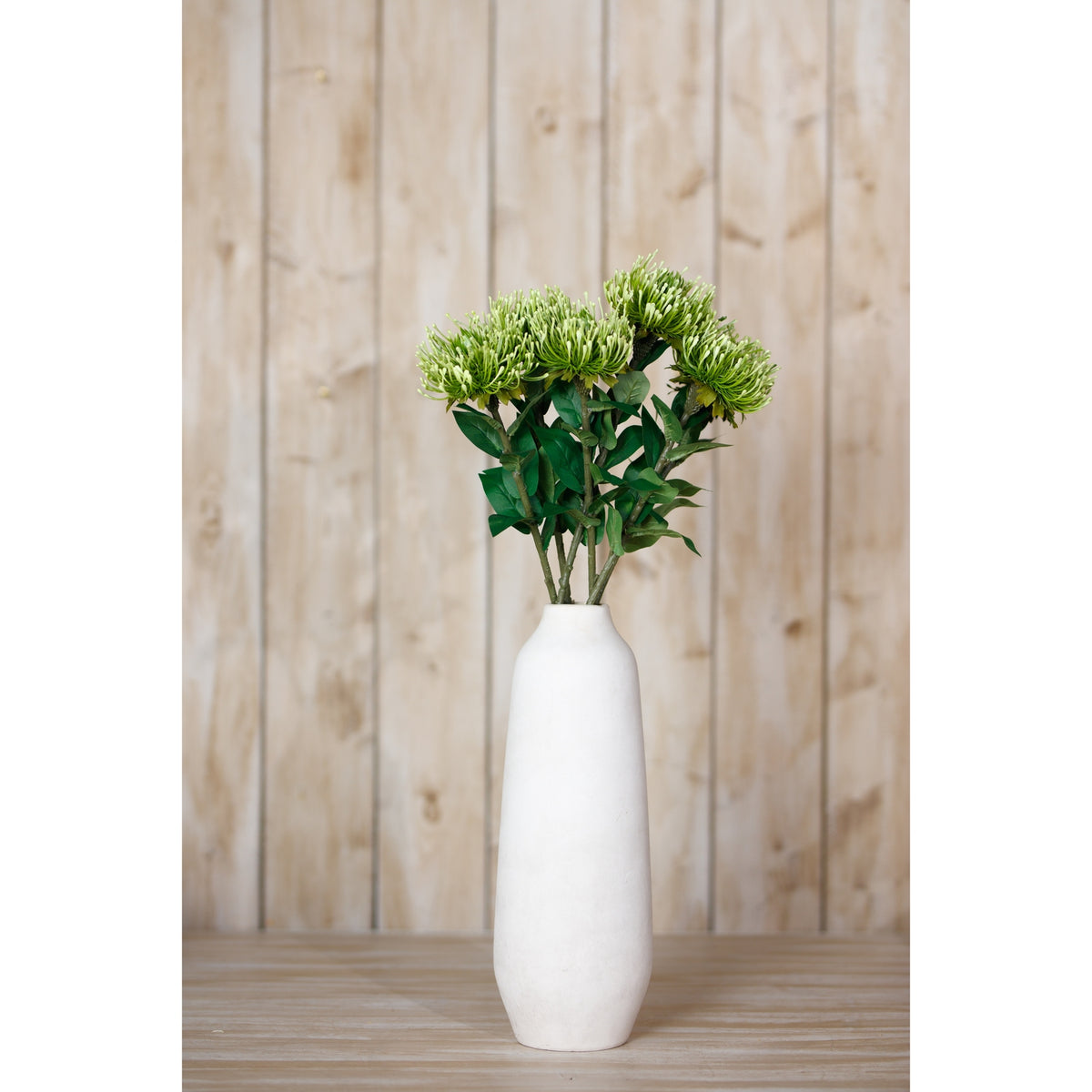 Green Protea Lorea Stem – alternate view 4