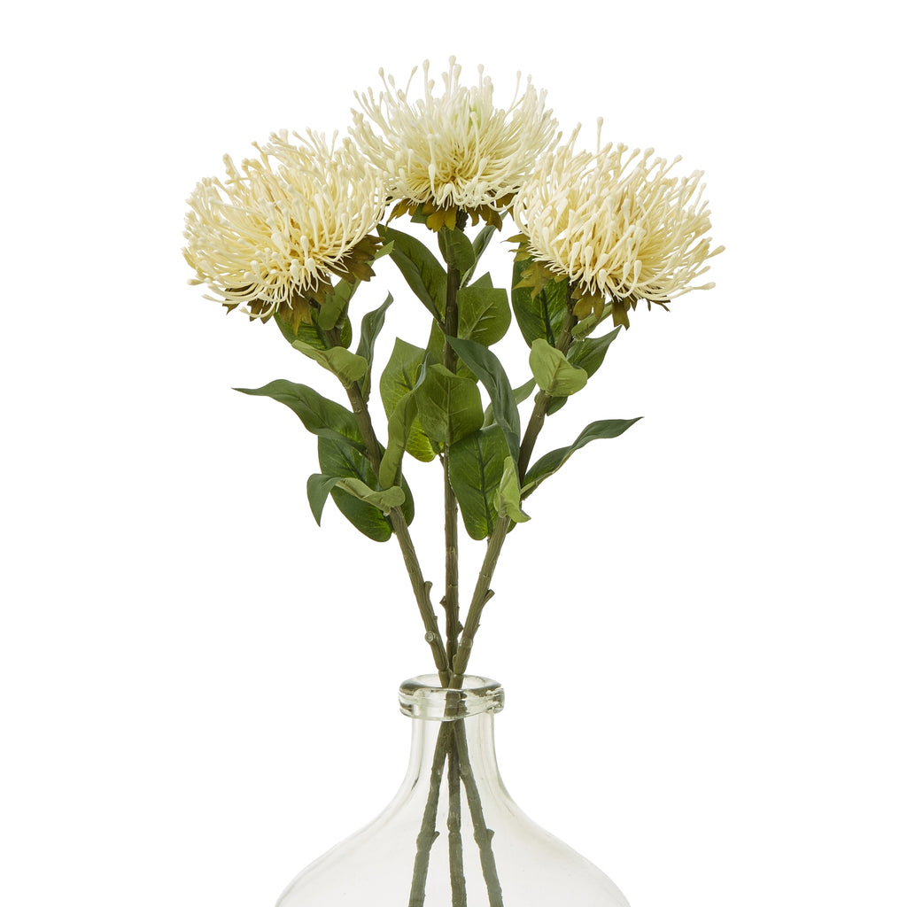 Cream Protea Lorea Stem – alternate view 3